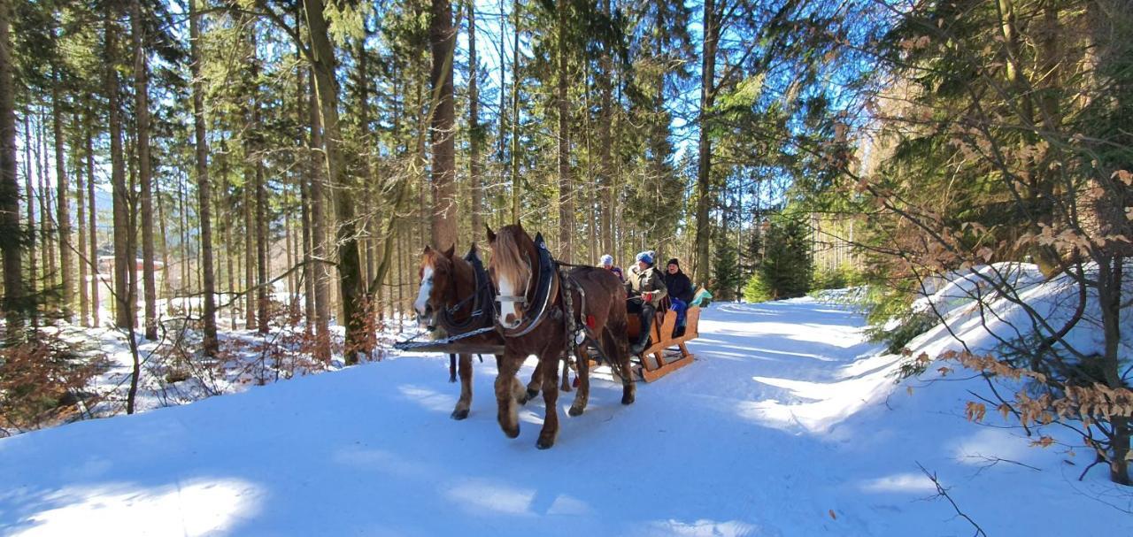 Pension Vinkl Harrachov Exteriér fotografie