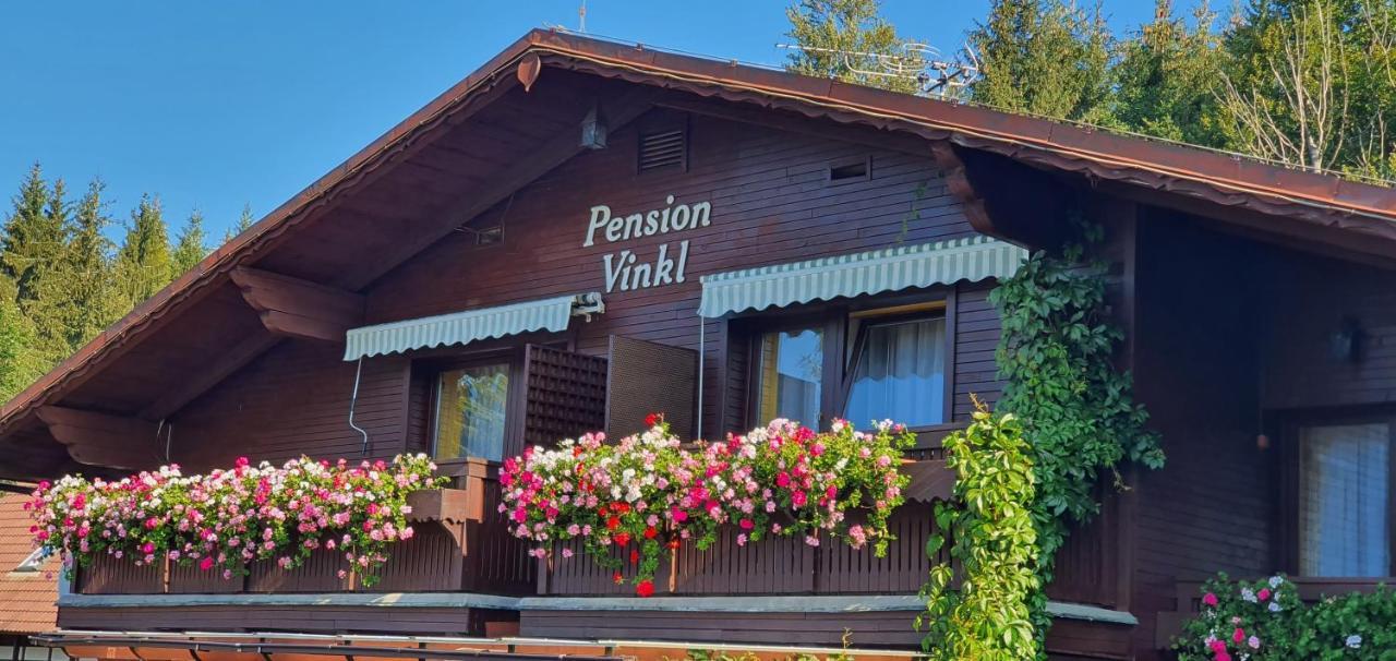 Pension Vinkl Harrachov Exteriér fotografie