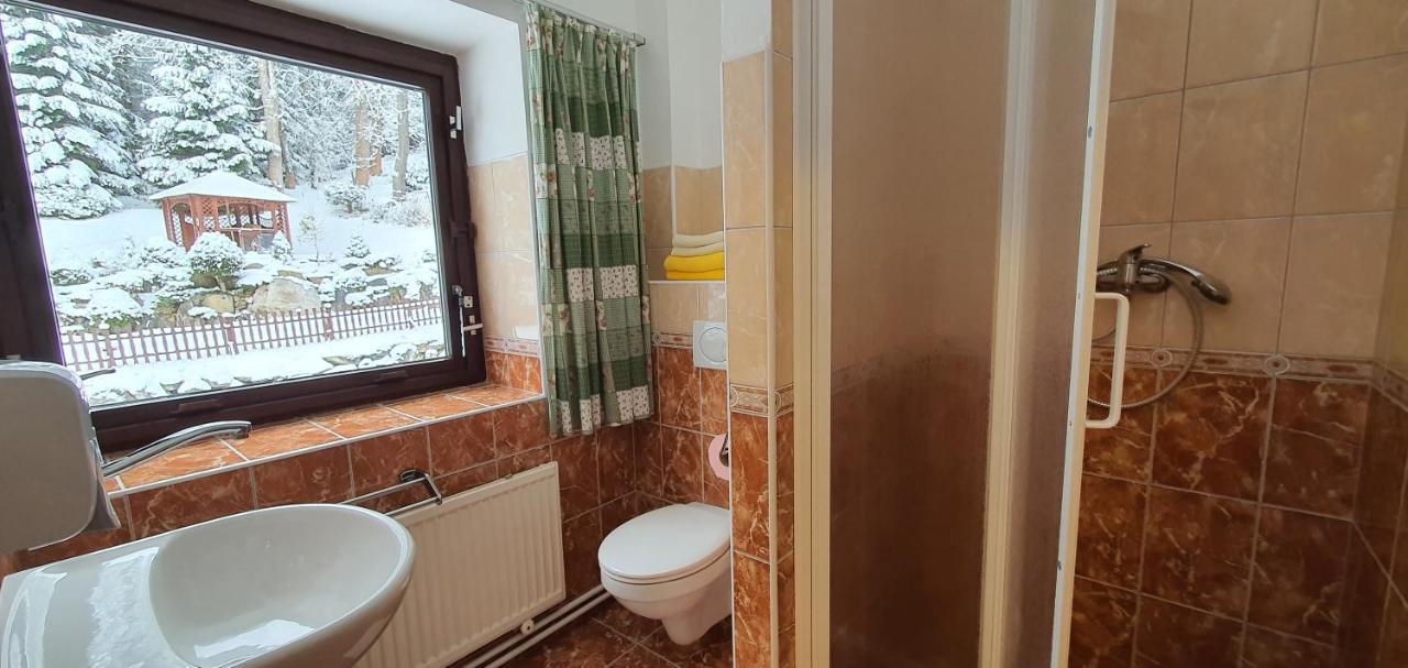 Pension Vinkl Harrachov Exteriér fotografie