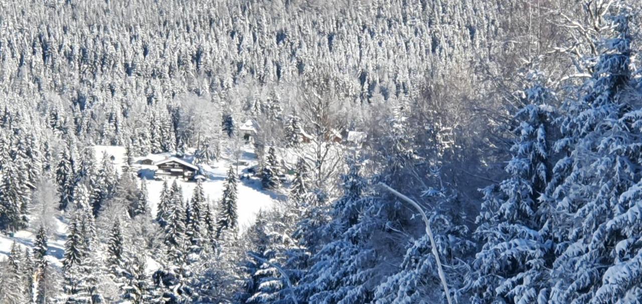 Pension Vinkl Harrachov Exteriér fotografie
