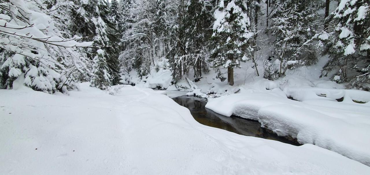 Pension Vinkl Harrachov Exteriér fotografie