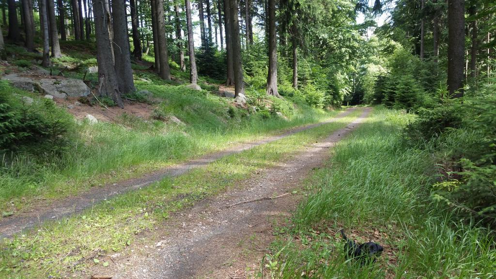 Pension Vinkl Harrachov Exteriér fotografie